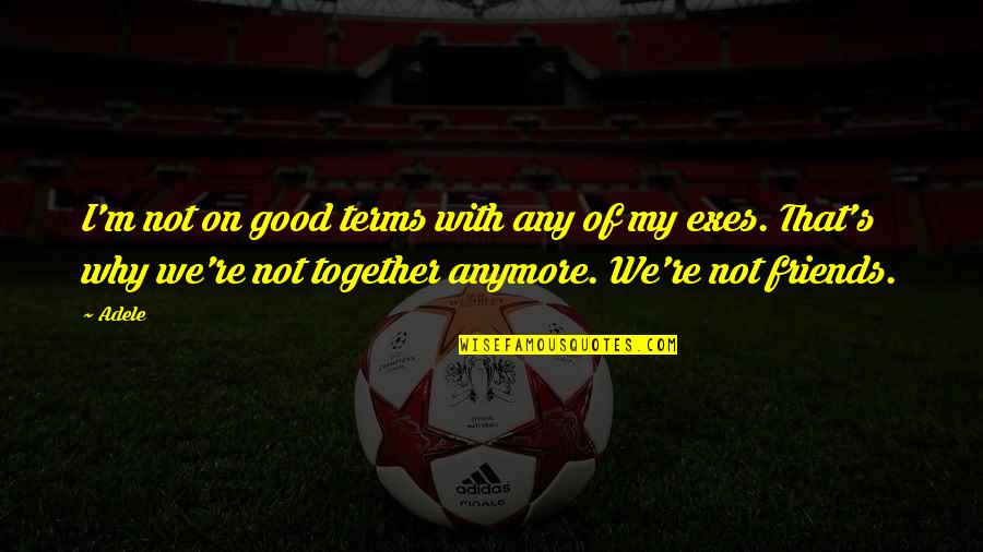 We Are Not Together Anymore Quotes By Adele: I'm not on good terms with any of
