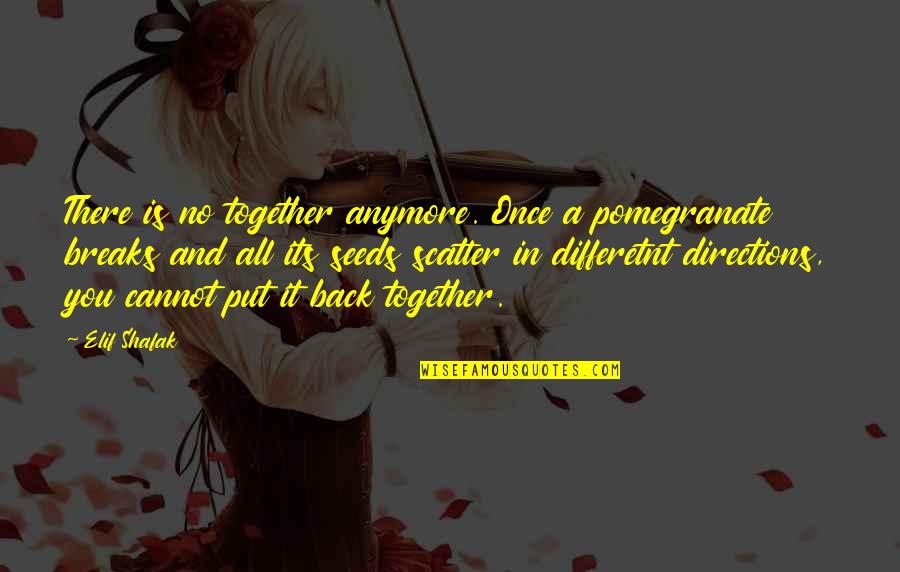 We Are Not Together Anymore Quotes By Elif Shafak: There is no together anymore. Once a pomegranate