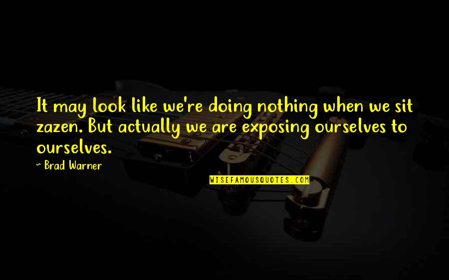 We Are Nothing Quotes By Brad Warner: It may look like we're doing nothing when