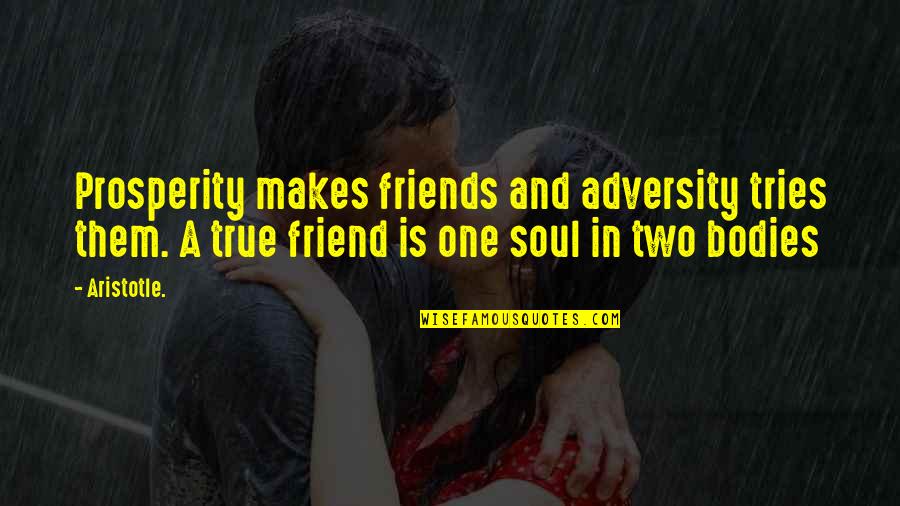 We Are One Soul In Two Bodies Quotes By Aristotle.: Prosperity makes friends and adversity tries them. A