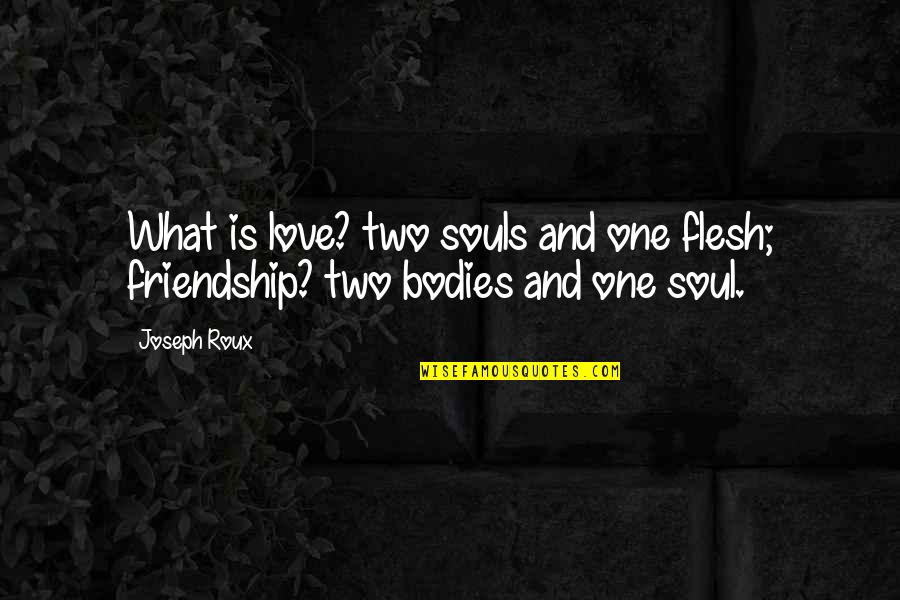 We Are One Soul In Two Bodies Quotes By Joseph Roux: What is love? two souls and one flesh;