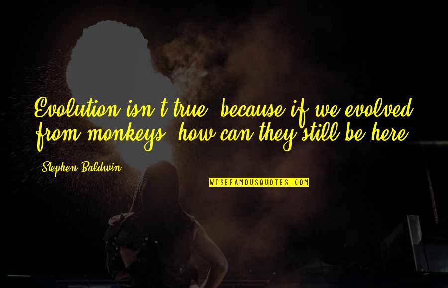 We Are Still Here Quotes By Stephen Baldwin: Evolution isn't true, because if we evolved from We Are Still Here Quotes By Stephen Baldwin: Evolution isn't true, because if we evolved from