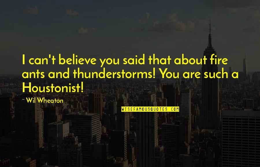 We Are The Ants Quotes By Wil Wheaton: I can't believe you said that about fire We Are The Ants Quotes By Wil Wheaton: I can't believe you said that about fire