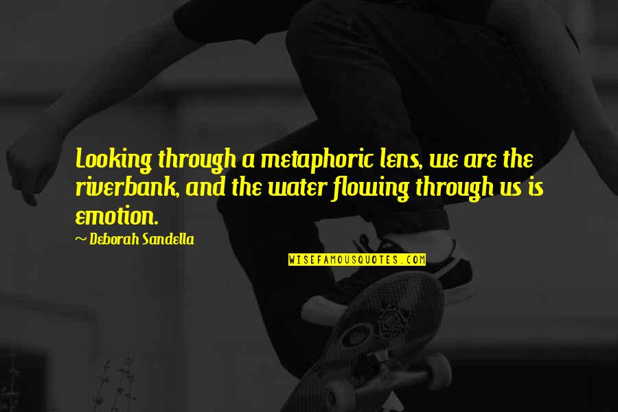 We Are Water Quotes By Deborah Sandella: Looking through a metaphoric lens, we are the