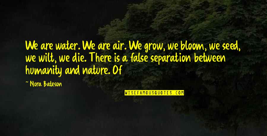 We Are Water Quotes By Nora Bateson: We are water. We are air. We grow,