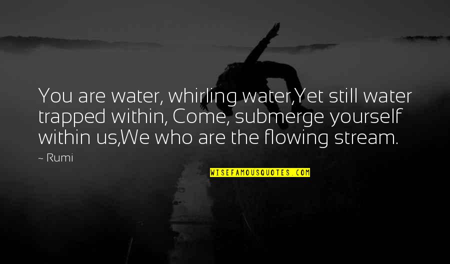 We Are Water Quotes By Rumi: You are water, whirling water,Yet still water trapped