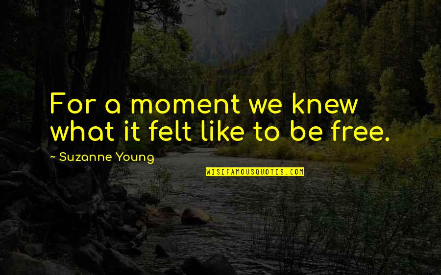 We Are Young And Free Quotes By Suzanne Young: For a moment we knew what it felt