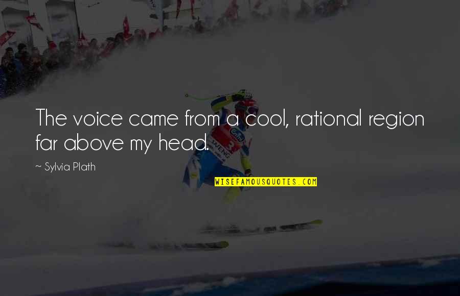We Came From Far Quotes By Sylvia Plath: The voice came from a cool, rational region