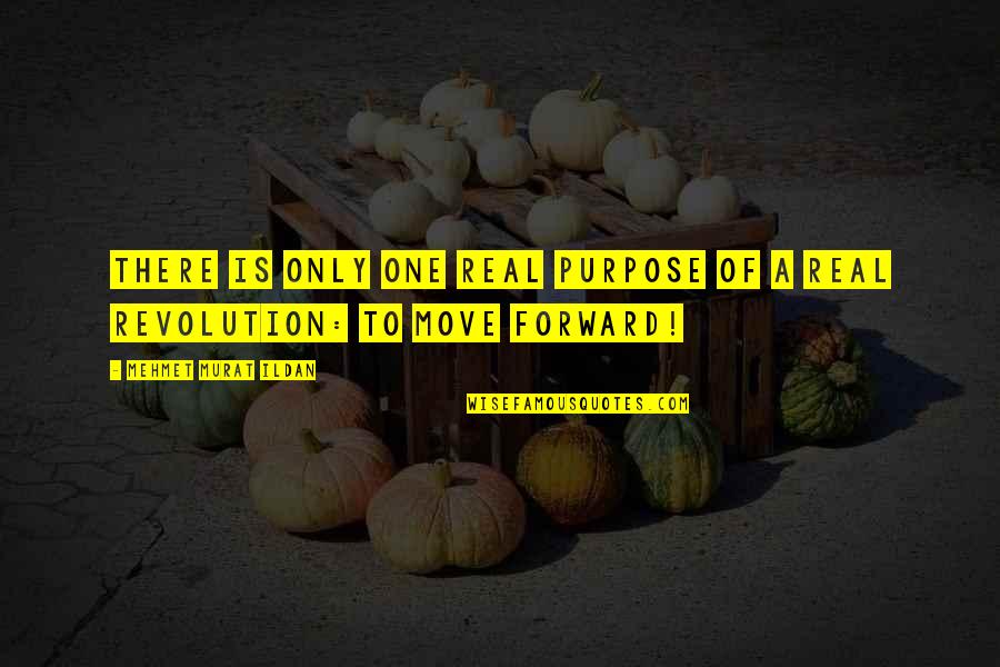 We Can Be Crazy Together Quotes By Mehmet Murat Ildan: There is only one real purpose of a We Can Be Crazy Together Quotes By Mehmet Murat Ildan: There is only one real purpose of a