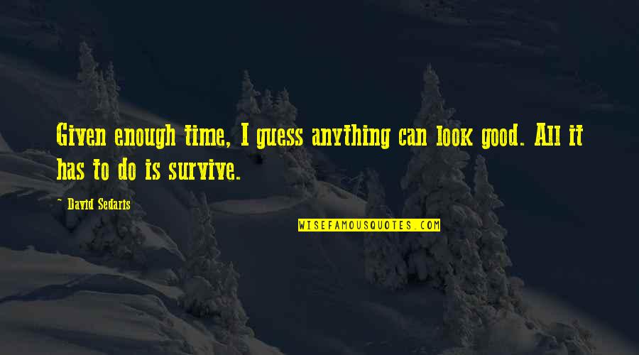 We Can Survive Anything Quotes By David Sedaris: Given enough time, I guess anything can look