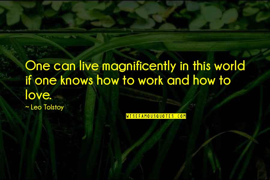 We Can Work This Out Love Quotes By Leo Tolstoy: One can live magnificently in this world if
