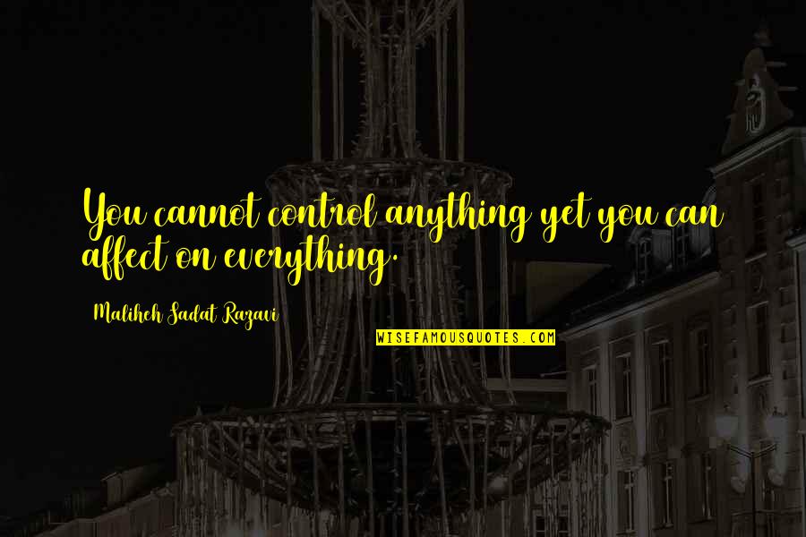 We Can't Control Life Quotes By Maliheh Sadat Razavi: You cannot control anything yet you can affect