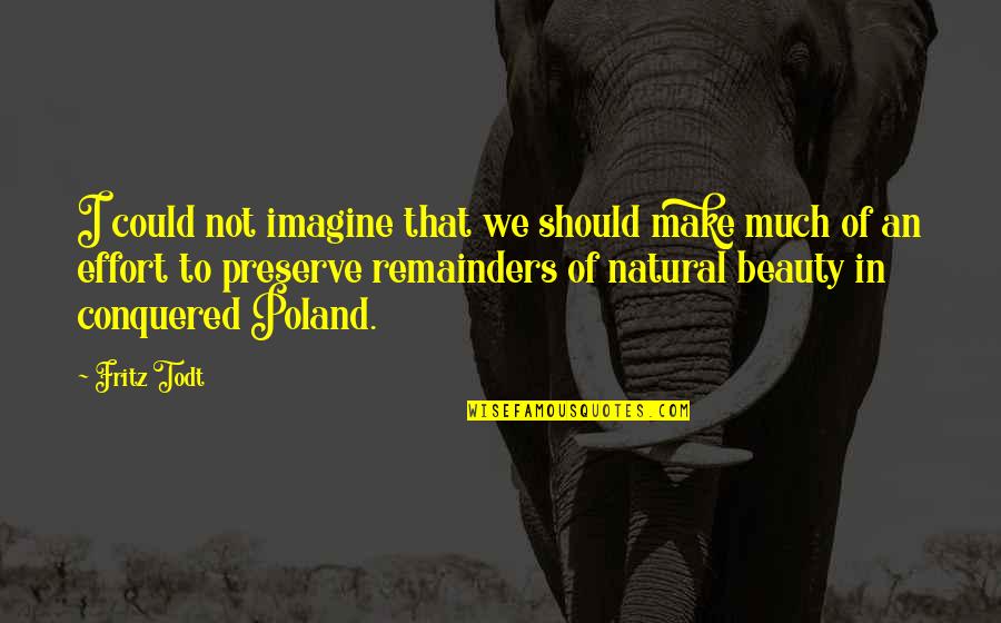 We Conquered Quotes By Fritz Todt: I could not imagine that we should make We Conquered Quotes By Fritz Todt: I could not imagine that we should make
