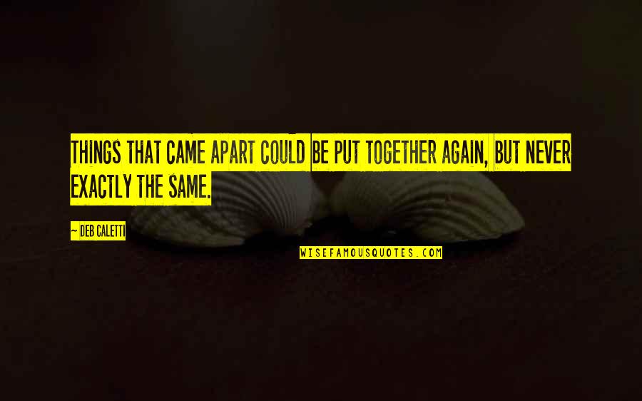 We Could Never Be Together Quotes By Deb Caletti: Things that came apart could be put together