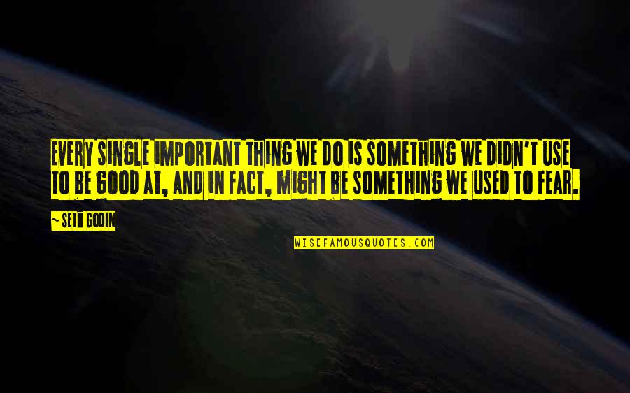 We Do Good Quotes By Seth Godin: Every single important thing we do is something We Do Good Quotes By Seth Godin: Every single important thing we do is something