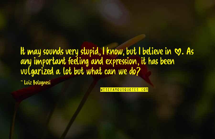 We Do What We Love Quotes By Luiz Bolognesi: It may sounds very stupid, I know, but