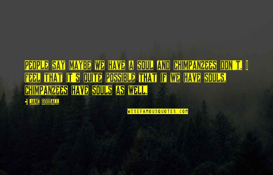 We Don T Have A Soul Quotes By Jane Goodall: People say maybe we have a soul and