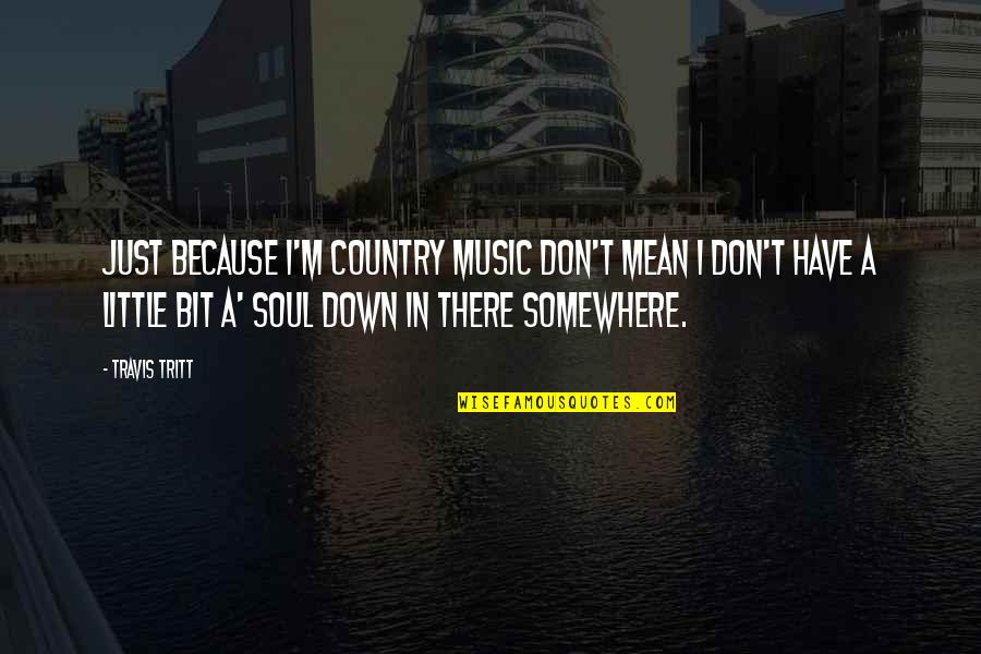 We Don T Have A Soul Quotes By Travis Tritt: Just because I'm country music don't mean I