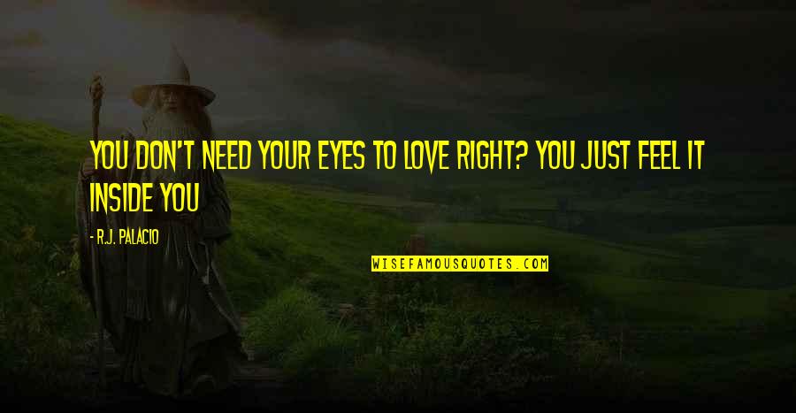 We Don't Need Love Quotes By R.J. Palacio: You don't need your eyes to love right?