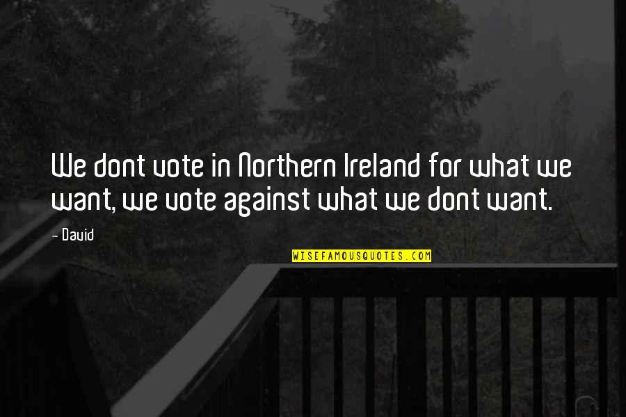 We Dont Quotes By David: We dont vote in Northern Ireland for what