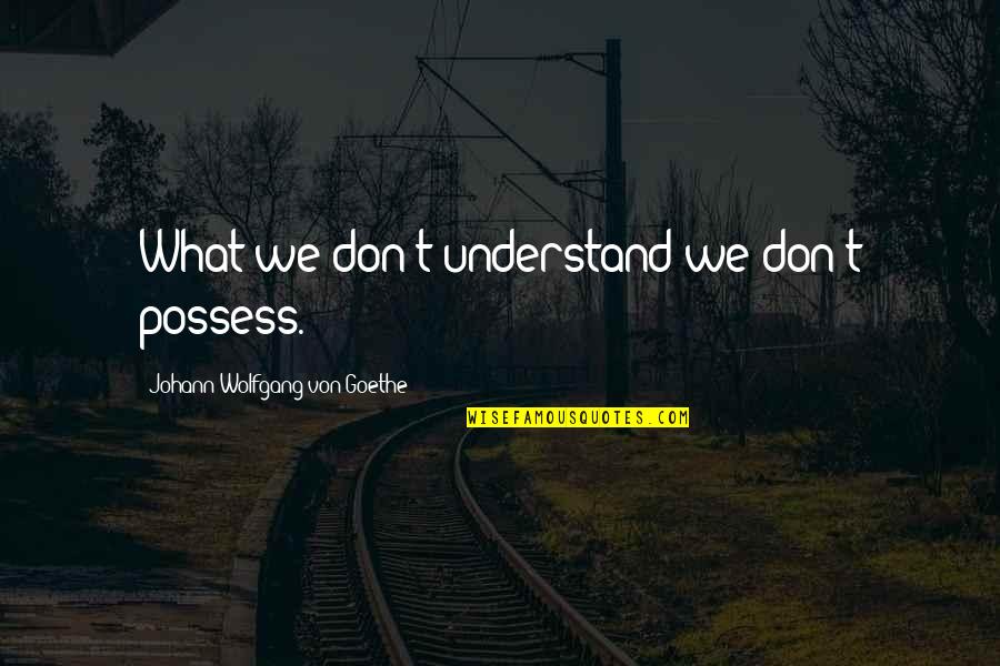 We Don't Understand Quotes By Johann Wolfgang Von Goethe: What we don't understand we don't possess.