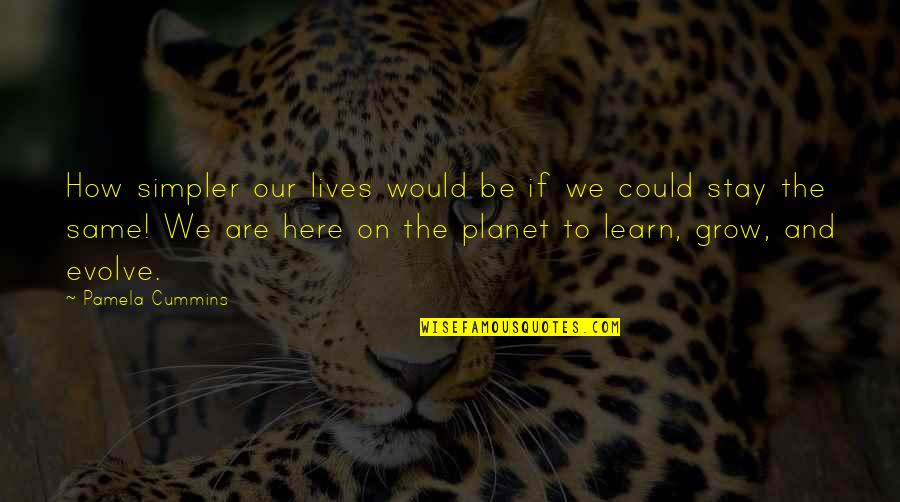 We Evolve Quotes By Pamela Cummins: How simpler our lives would be if we