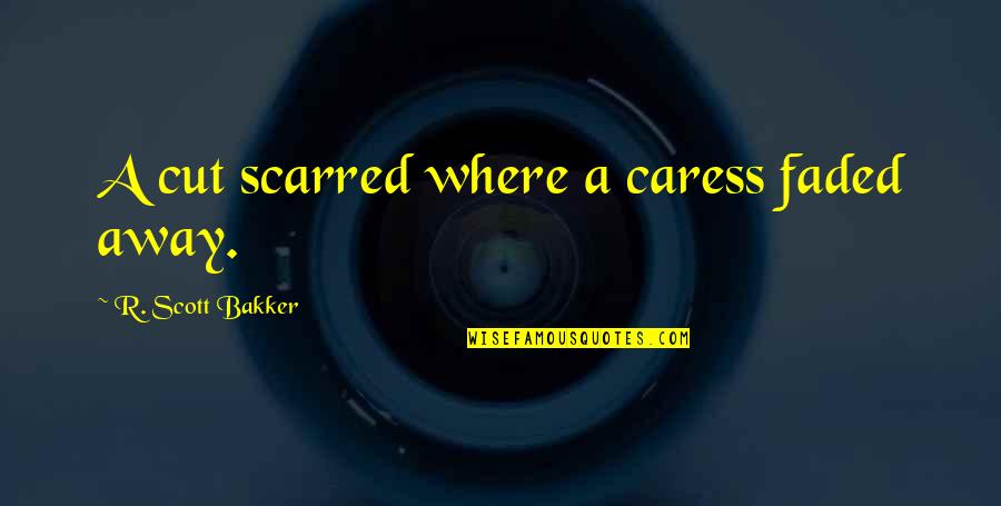 We Faded Quotes By R. Scott Bakker: A cut scarred where a caress faded away.