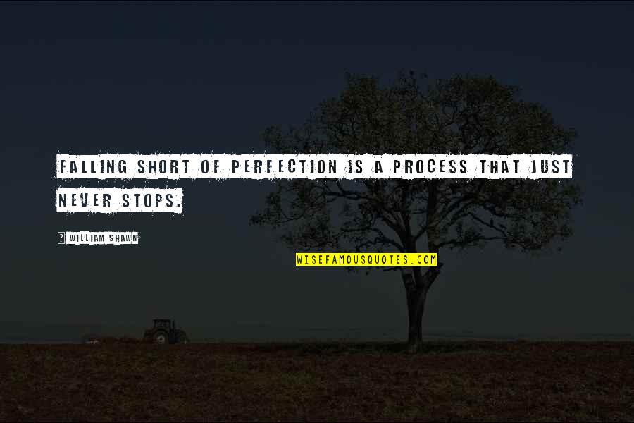 We Fall Short Quotes By William Shawn: Falling short of perfection is a process that We Fall Short Quotes By William Shawn: Falling short of perfection is a process that