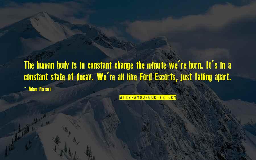 We Falling Apart Quotes By Adam Ferrara: The human body is in constant change the