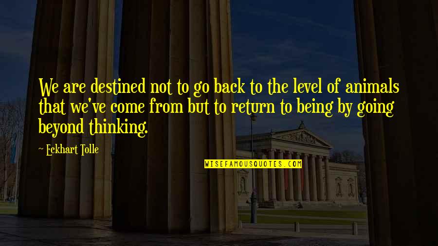 We Go Back Quotes By Eckhart Tolle: We are destined not to go back to