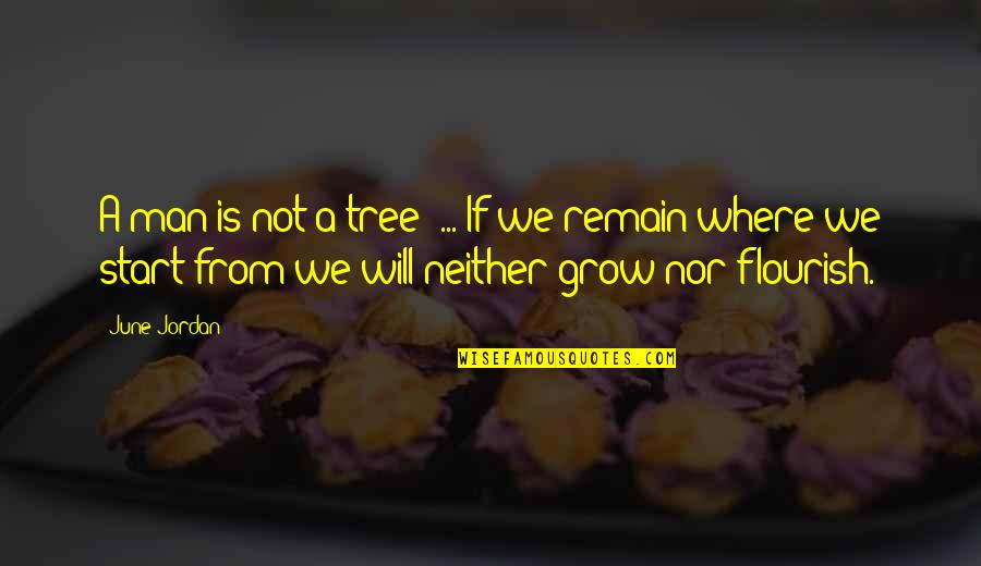 We Grow Quotes By June Jordan: A man is not a tree' ... If