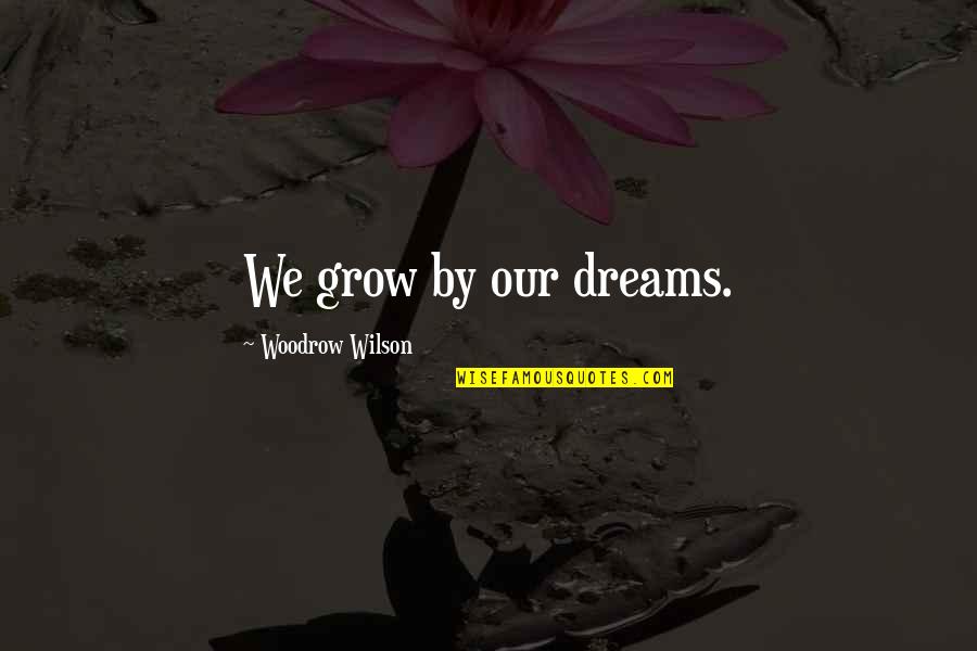 We Grow Quotes By Woodrow Wilson: We grow by our dreams.