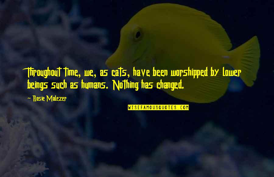 We Have Changed Quotes By Rosie Malezer: Throughout time, we, as cats, have been worshipped