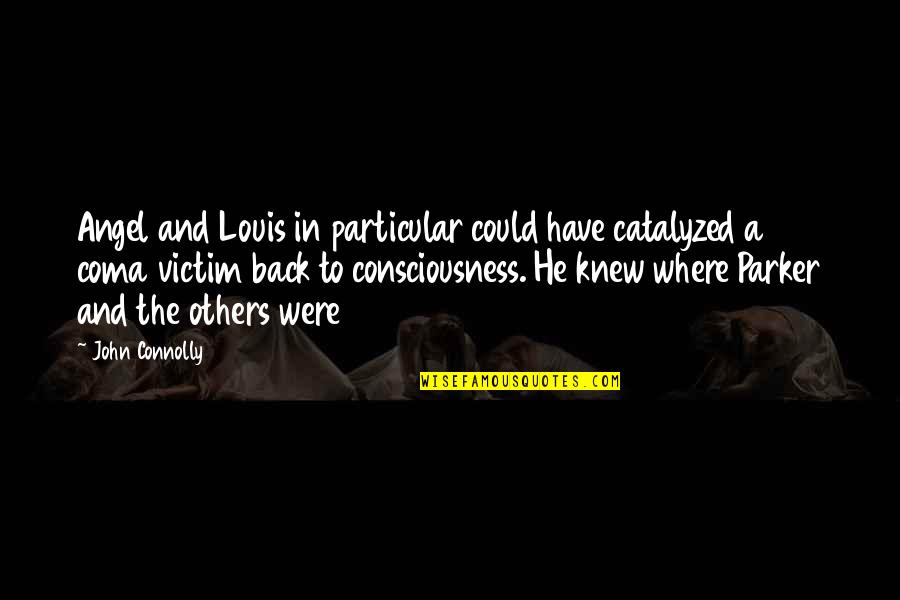 We Have Each Others Back Quotes By John Connolly: Angel and Louis in particular could have catalyzed