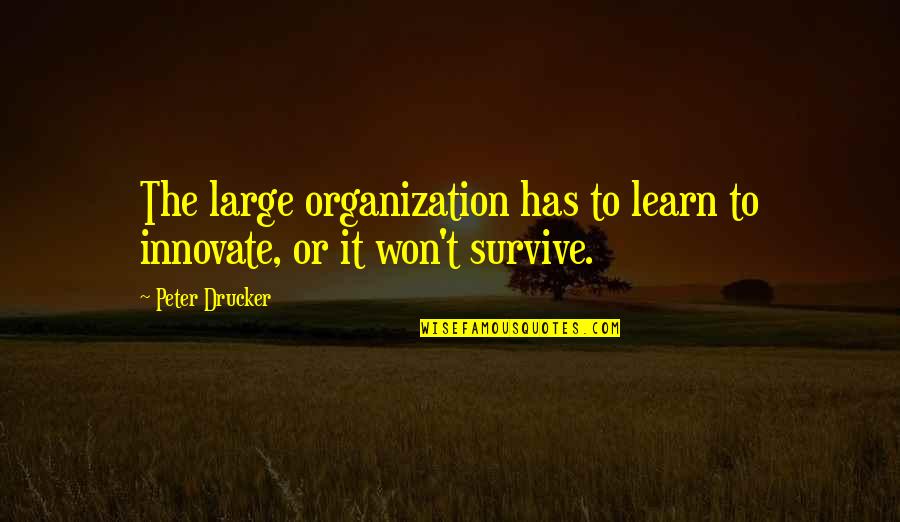 We Innovate Quotes By Peter Drucker: The large organization has to learn to innovate,