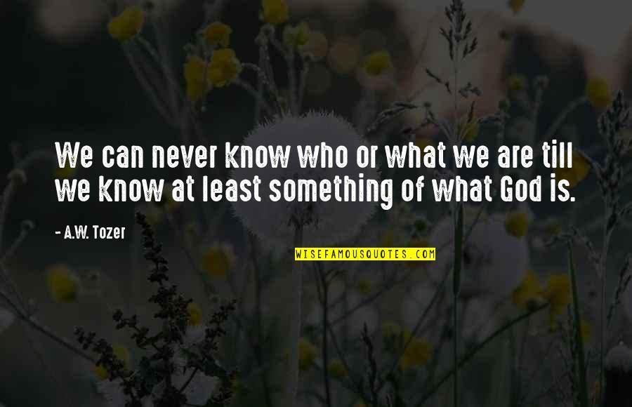 We Know Who We Are Quotes By A.W. Tozer: We can never know who or what we