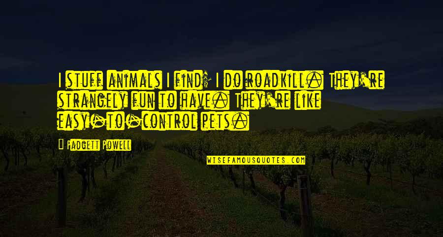 We Like To Have Fun Quotes By Padgett Powell: I stuff animals I find; I do roadkill.