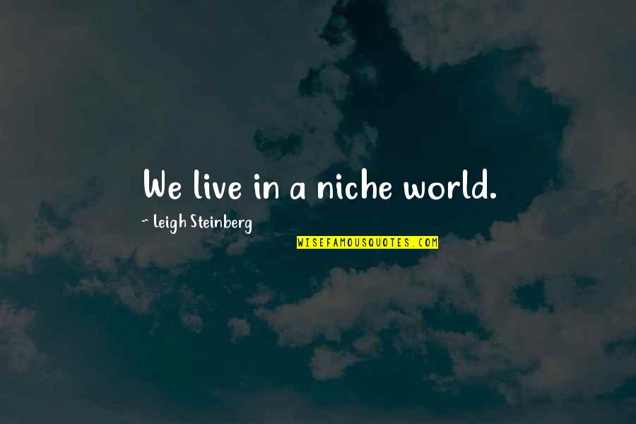 We Live In A World Quotes By Leigh Steinberg: We live in a niche world.