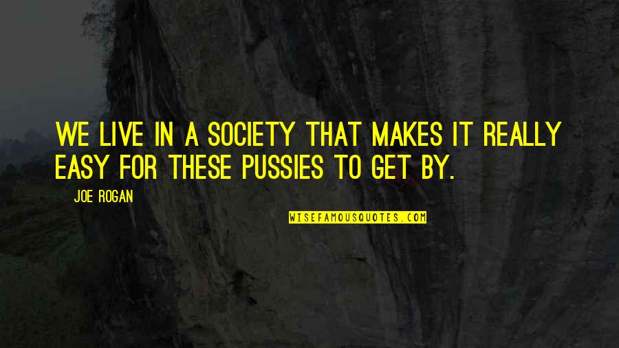 We Live In Society Quotes By Joe Rogan: We live in a society that makes it