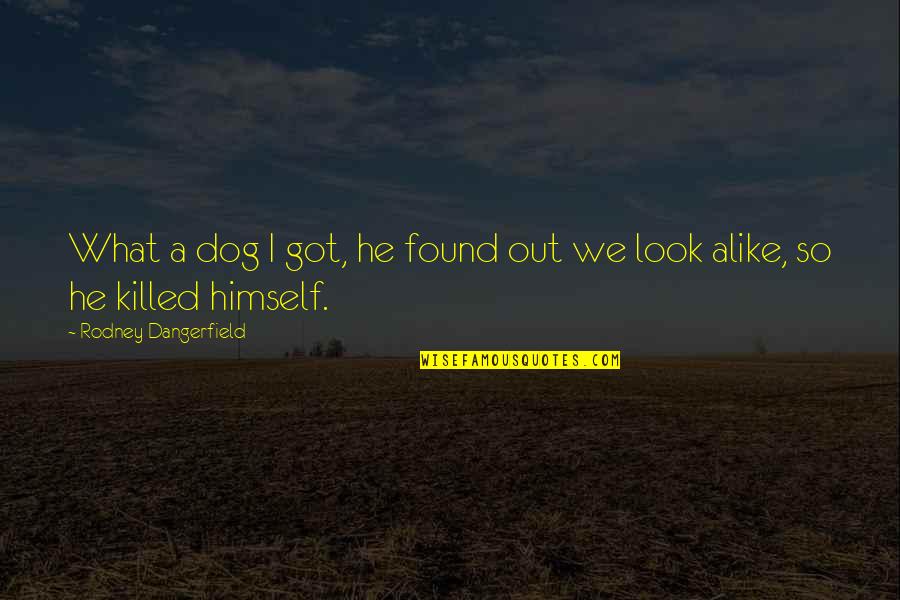 We Look Alike Quotes By Rodney Dangerfield: What a dog I got, he found out