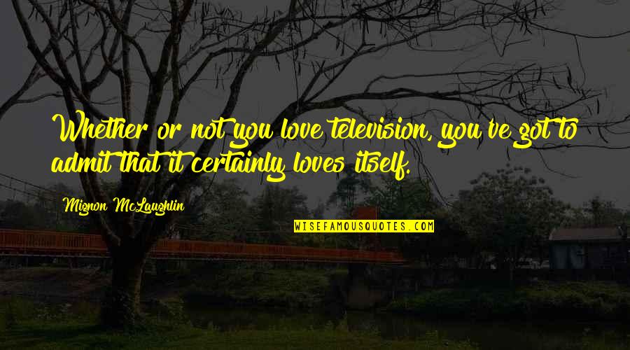 We Love Technology Quotes By Mignon McLaughlin: Whether or not you love television, you've got