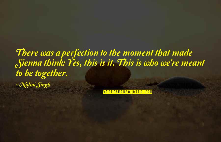 We Made It Together Quotes By Nalini Singh: There was a perfection to the moment that