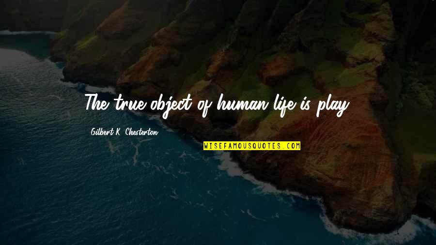 We May Have Our Differences But Quotes By Gilbert K. Chesterton: The true object of human life is play.