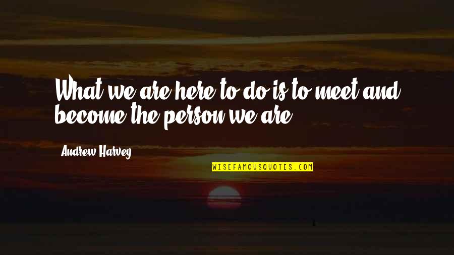 We Meet Quotes By Andrew Harvey: What we are here to do is to