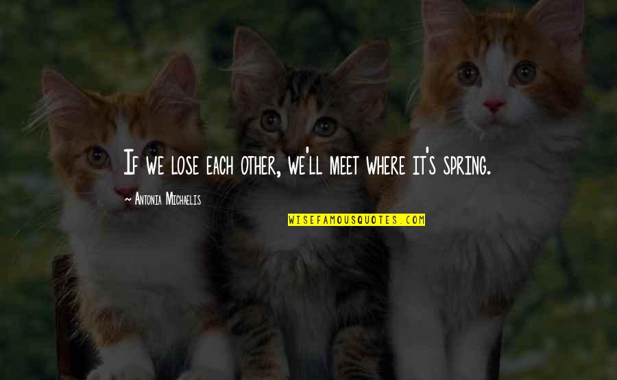 We Meet Quotes By Antonia Michaelis: If we lose each other, we'll meet where