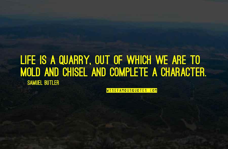 We Mold Quotes By Samuel Butler: Life is a quarry, out of which we