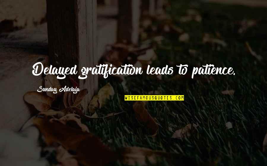 We Mulk Quotes By Sunday Adelaja: Delayed gratification leads to patience.