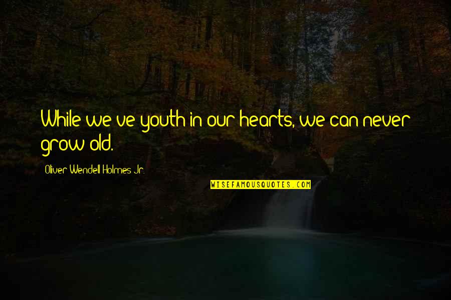 We Never Grow Old Quotes By Oliver Wendell Holmes Jr.: While we've youth in our hearts, we can