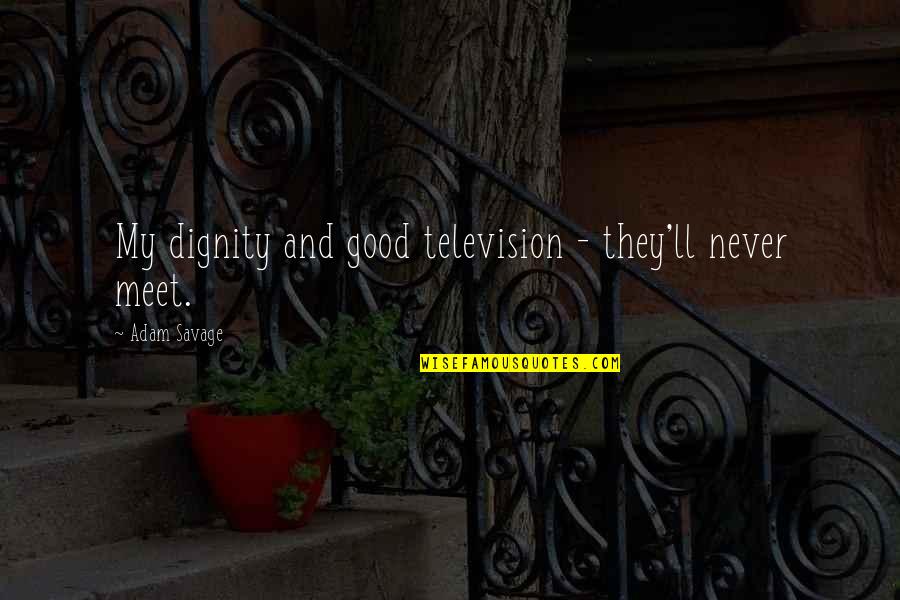 We Never Meet Each Other Quotes By Adam Savage: My dignity and good television - they'll never We Never Meet Each Other Quotes By Adam Savage: My dignity and good television - they'll never