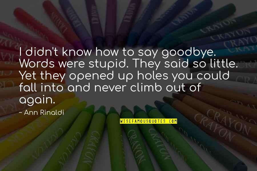 We Never Said Goodbye Quotes By Ann Rinaldi: I didn't know how to say goodbye. Words We Never Said Goodbye Quotes By Ann Rinaldi: I didn't know how to say goodbye. Words